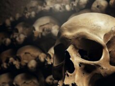 How to Bone Up on Your History: A Visit to the Sedlec Ossuary Sedlec Ossuary