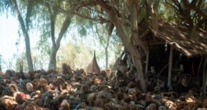 The Island of the Dolls: A creepy collection of dolls in Mexico The Island of the Dolls