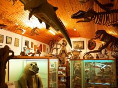 The International Cryptozoology Museum: A museum of mythical creatures in Maine The International Cryptozoology Museum