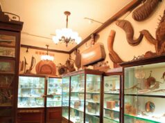 The Meguro Parasitological Museum: A museum of parasites in Japan The Meguro Parasitological Museum